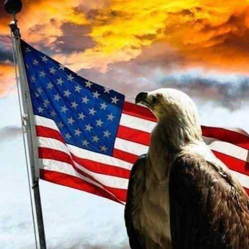 Christ Follower, Proud American Wife, Mom & Grandma!  Firm believer in the 1st & 2nd Amendment!