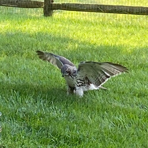 USAF Veteran 21 years working to MAGA, USAF Civil Service 15 years, Rock Drummer, Music Lover, #MAGA, Husband, Father, G...