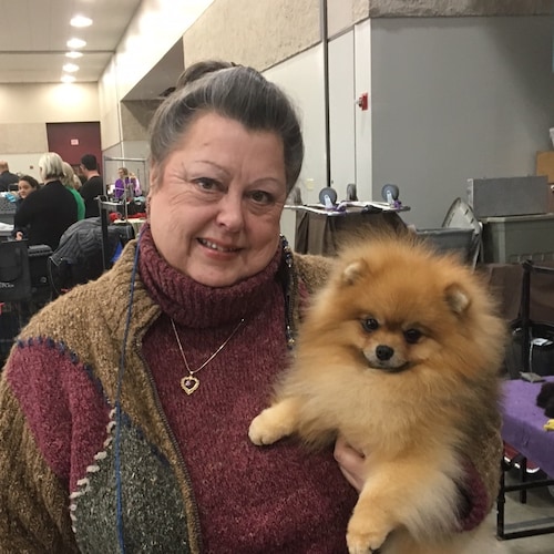 ✝️Christian, 🇺🇸Republican, 👩🏼🧒👩🏼Grandmom,🐶Dog Mom, 🐴Horse Mom, 🐑Sheep Mom, ❤️Life!
Training service 🐕‍🦺dogs ...