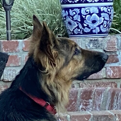 I’m of Syrian Origin - Totalitarian
Born in Morocco - Kingdom
Grew up in Italy - Socialism

Accepted with open arms by t...