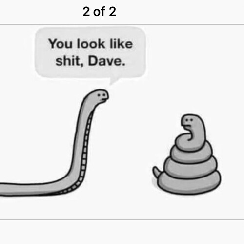 Visit CrippledWillow's profile on GETTR. View their posts, photos, videos, and connect with them on the social platform.