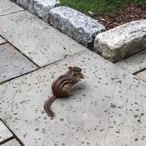 Flying under the radar