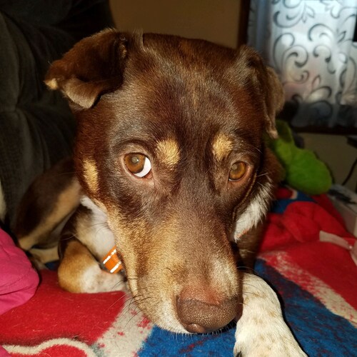 US Navy vet. MAGA man🍻⚓ "Lets go Brandon"