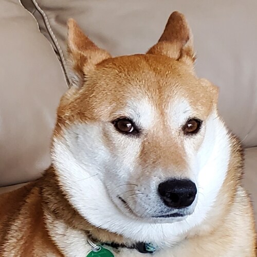 Free thinker. #DoNotComply