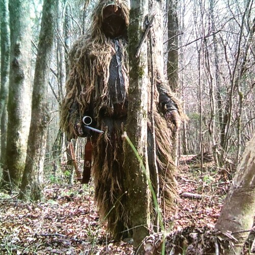 Freedom Loving American Patriot. MAGA, Pro 1A,2A Vengeful1 on Twitter