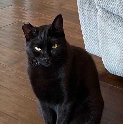 Old enough to know better. Should start using that knowledge soon enough