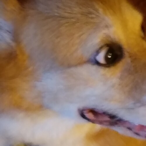 An American, blue collar worker who is concerned about his country.