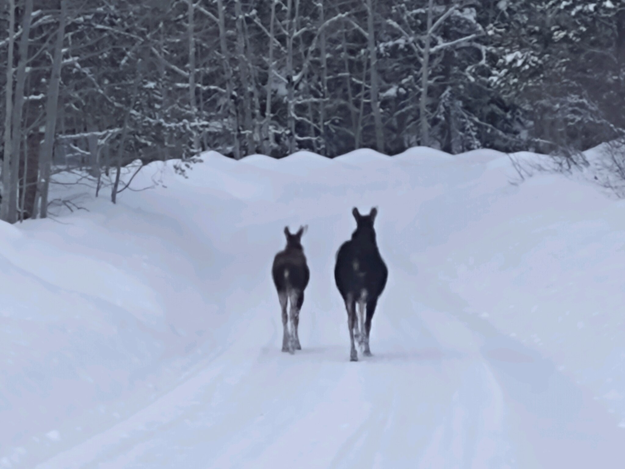 View Oceankid05's post on GETTR. Join the discussion, share your thoughts, and connect with the community.