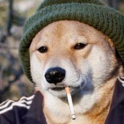 Protestant. 100% Single. Probably a paleolibertarian. Gab:@ NoverTheSmart
