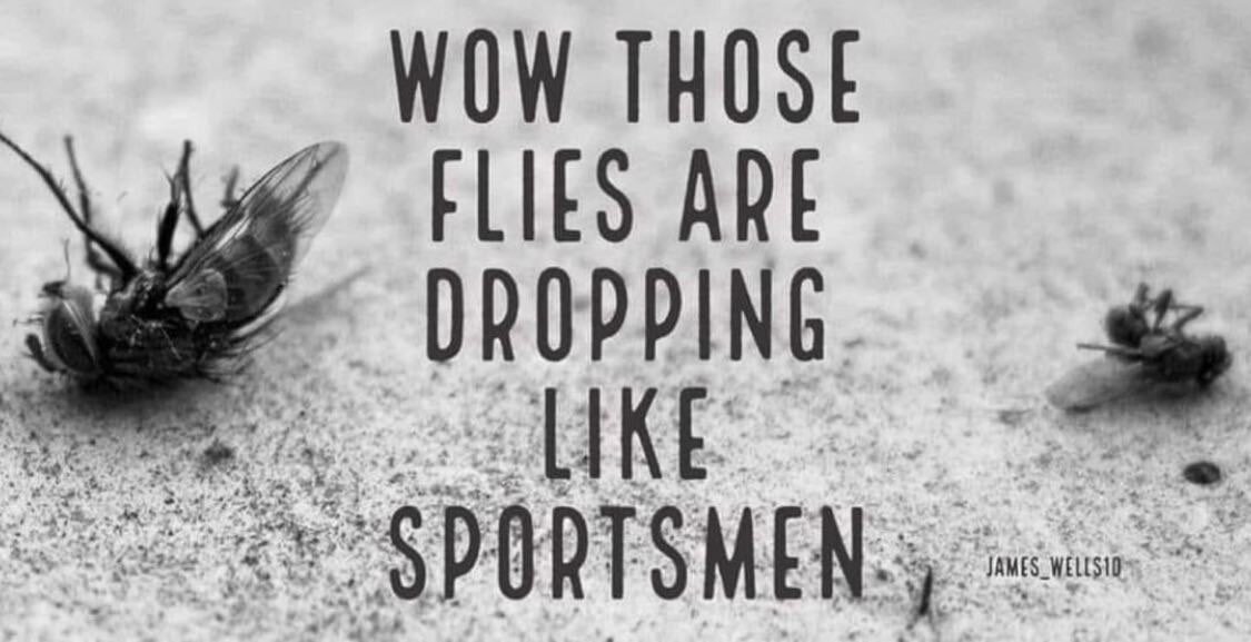 View Don Gates's post on GETTR. Join the discussion, share your thoughts, and connect with the community.