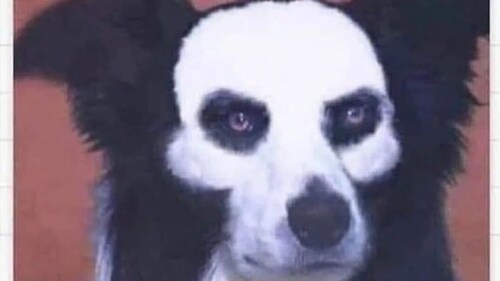 DROP IN ON RADIO SHOW RECORDING LIVE Facts, Findings and Ongoing Election Election Investigations 