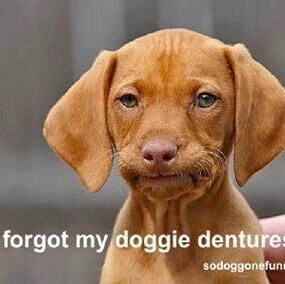 When you can’t say what you really think.. Pray.. Pray hard..