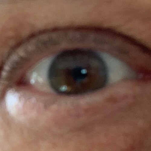 Productive, Middle Class American (a.k.a. A Deplorable)