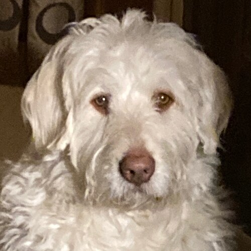 Retired nurse, grandma, 
legend in my own mind, athlete, and a Ready Patriot!🍊🇺🇸