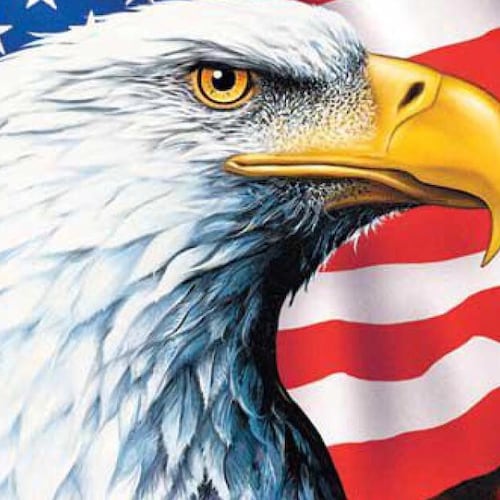 Patriot, Save America Trump Won