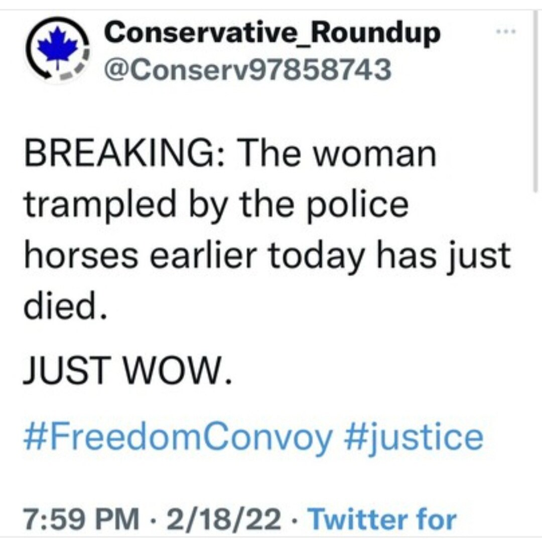 She was video taped before being trampled by the Trudeau gestapo and said “it’s about Peace and Love...