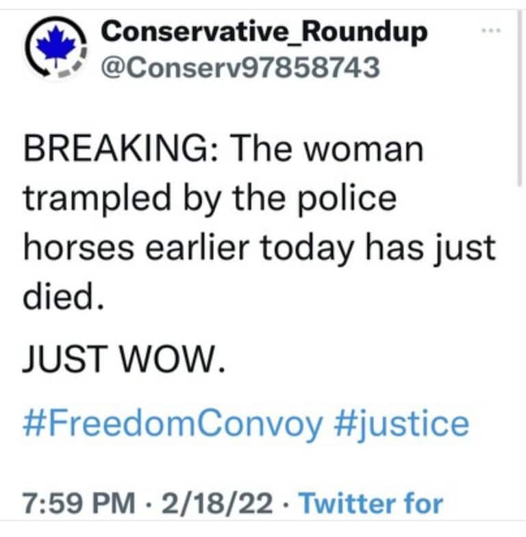 She was video taped before being trampled by the Trudeau gestapo and said “it’s about Peace and Love” and this is what they do to her! #RIP ❤️🙏
