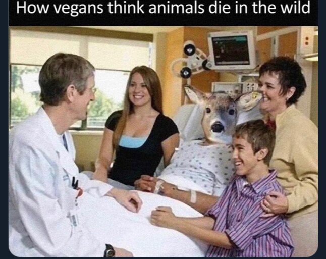 View luizthome's post on GETTR. Join the discussion, share your thoughts, and connect with the community.