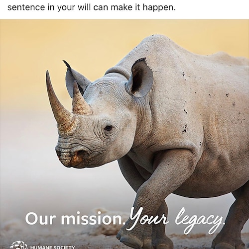 Visit RC235's profile on GETTR. View their posts, photos, videos, and connect with them on the social platform.