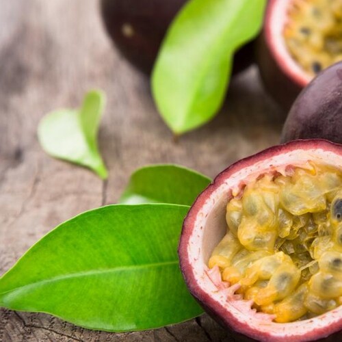 Passion Fruit on GETTR - Profile and Posts on GETTR