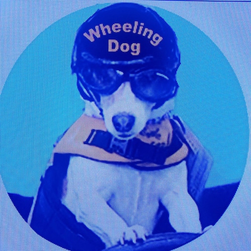 Ultra MAGA!  TRUMP WON!