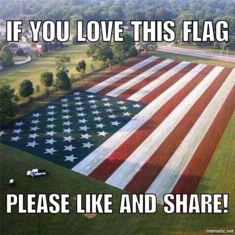 @Kathy2024
@KellyCurrie45
@Blondies
@Lara8
@Clinton614
@Tbeansprout
@ChatByCC
@@hottamali01
@MaryJane101
@Suzost
@TrumpGirlOnFire
@warriordad1776