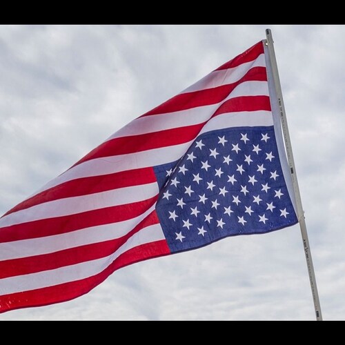 Patriot, American Proud, Pro Blue, 2nd Amendment proud, conservative,  Trump Won Easily.