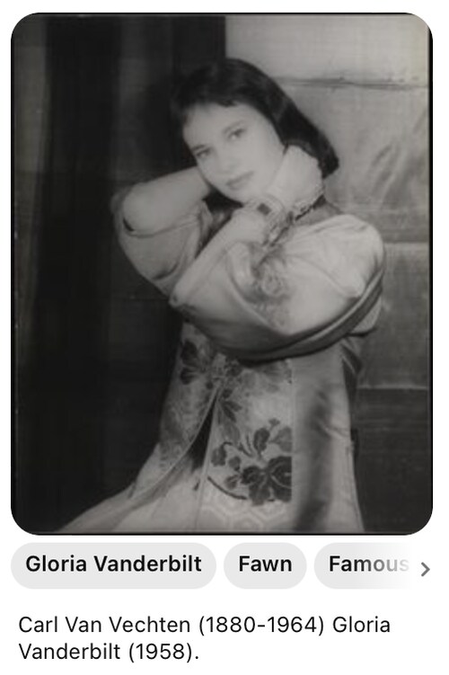 格洛丽亚·范德比尔特
（英語：Gloria Laura Vanderbilt，1924年2月20日－2019年6月17日）美国艺术家、作家、演员、时装设计师、社交名媛，范德比尔特家族成员。）

197...