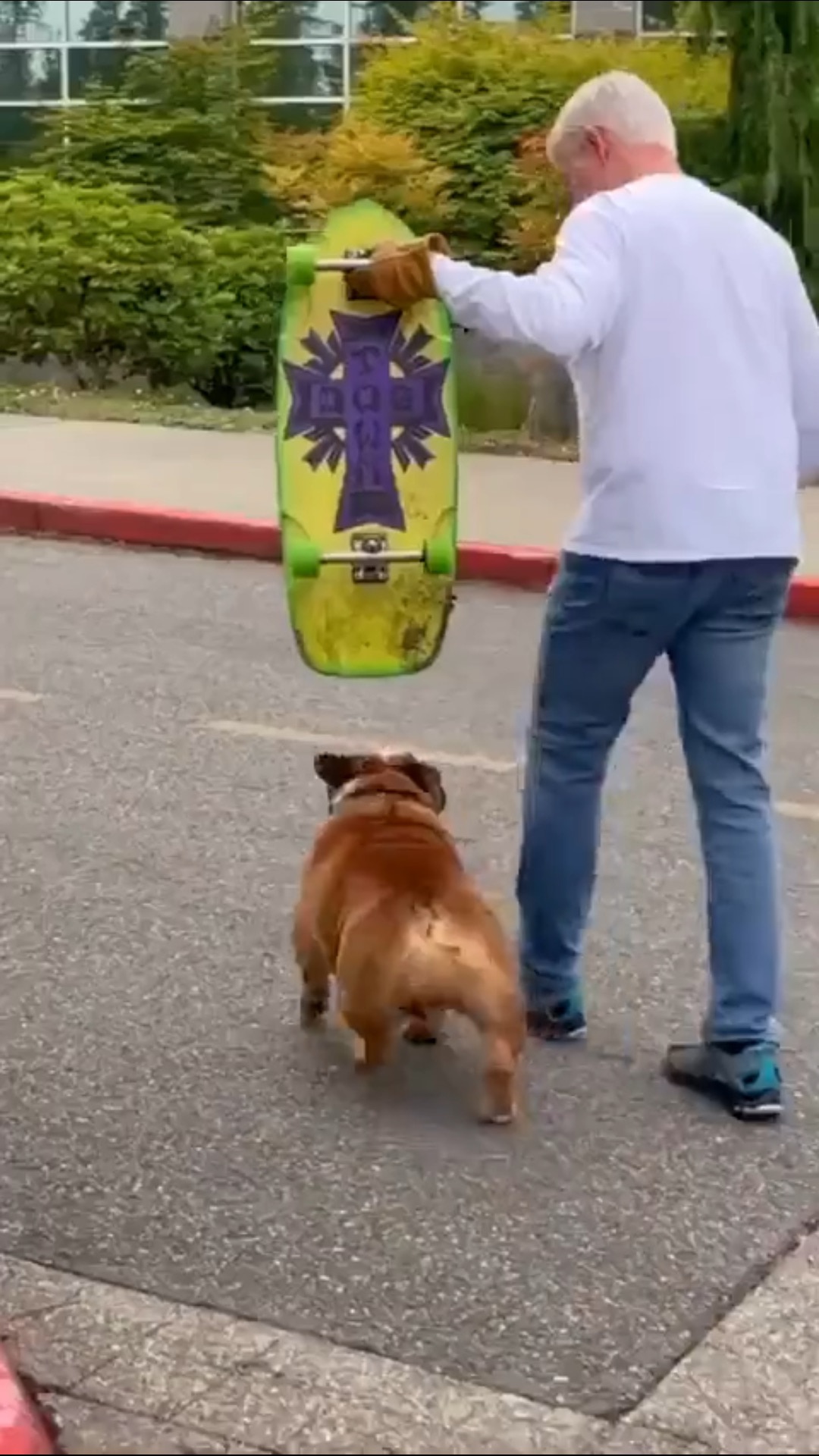 JustShortVideos on GETTR : Pro skater😎
