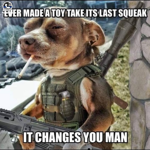 100% conservative holding the high ground for the day SHTF. no hookups No DMs, I do not follow back Chinese cuz I dont r...