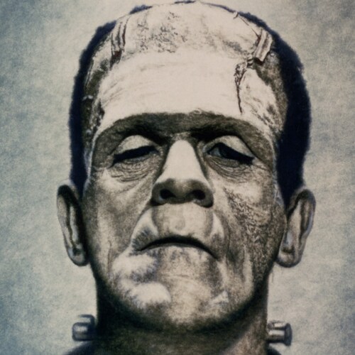 Old, Fat, and Ugly U.S. Army Veteran Stable Genius