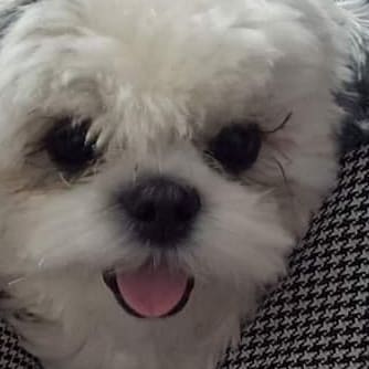 Deus, Educação, Ética, Moral, Justiça, Liberdade 🙏