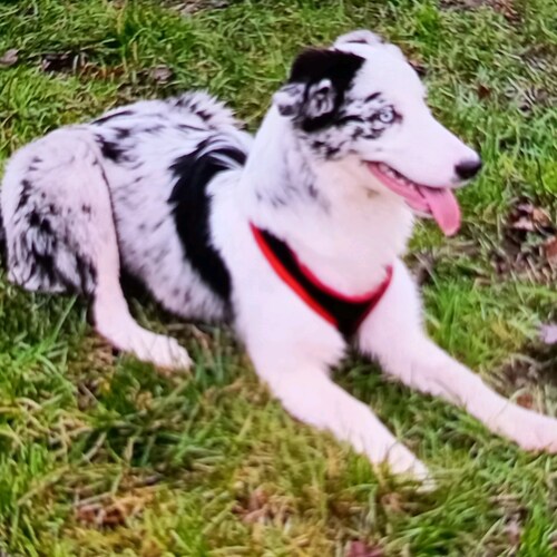 From UK 🇬🇧, no DM please.