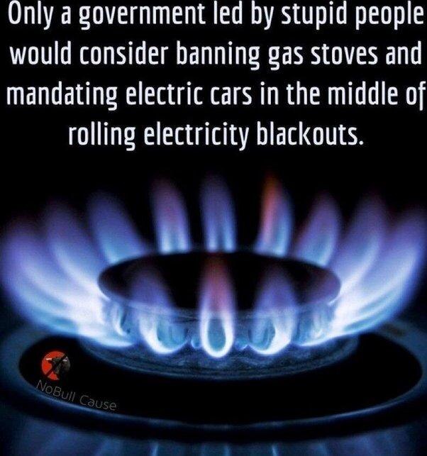 View budboomer 🇺🇸🇺🇸🇺🇸's post on GETTR. Join the discussion, share your thoughts, and connect with the community.