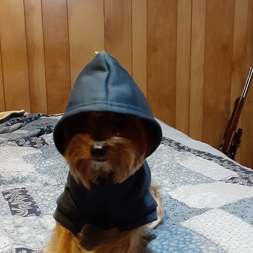 P.Od about DC spinning