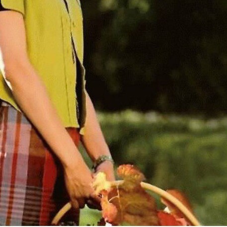 Free Miles Guo .
Independent Thinker 🤔 I am a   fan of  Miles Guo and Steve Bannon. Citizen of New federal of China