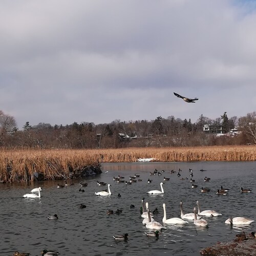 中国人民应该享有法制, 民主和自由, 中国一定会实现！