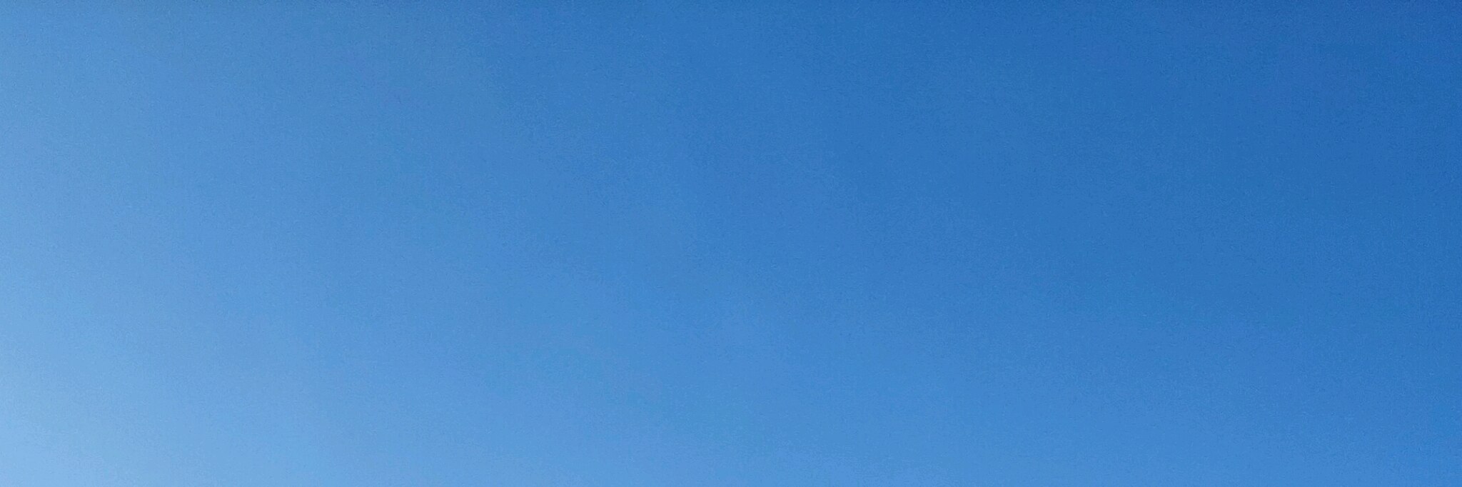 阳光