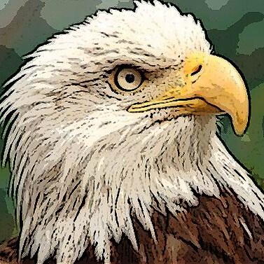 🍊 Trump will always be my President. The more the left tries to make me un-American the more American I become. Fellow vets.. steadfast and ready wwg1wga.