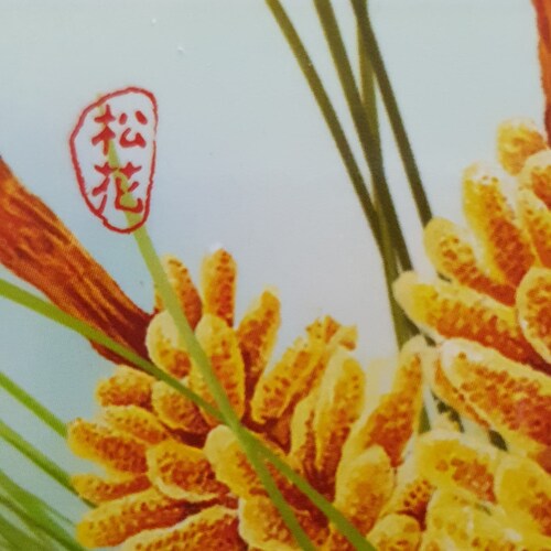 新中国联邦人
自立利他  德行天下