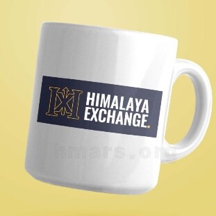 伸手推倒那堵网高墙