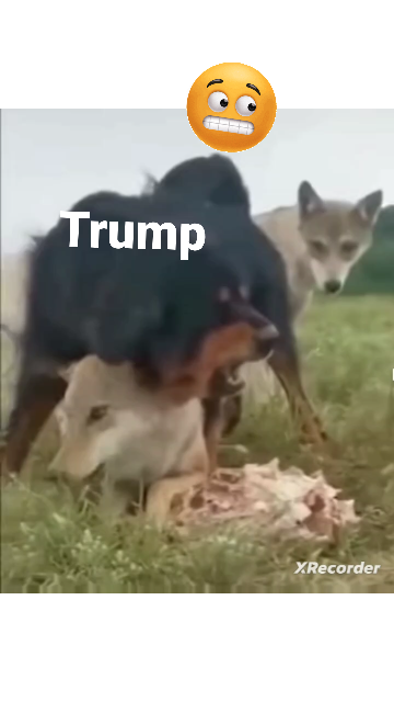 Trump Taking on Government.... 