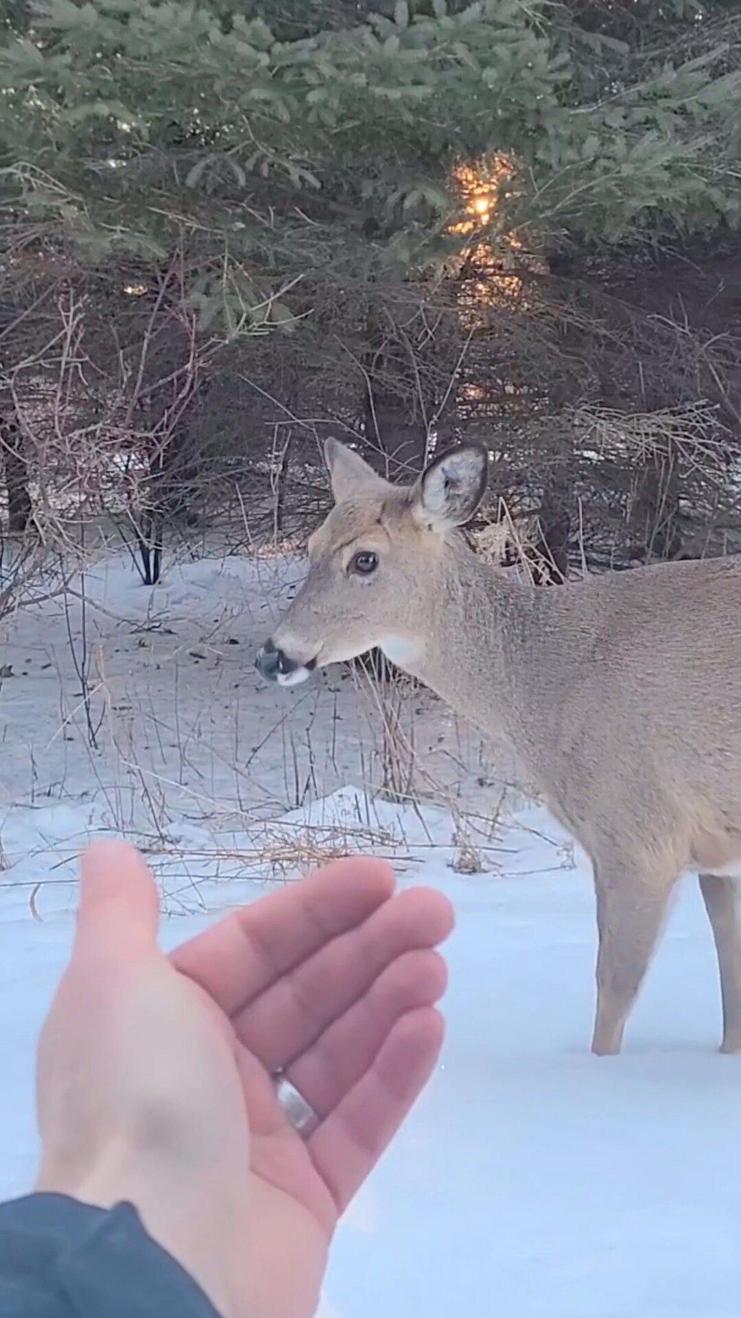 View 笨伯's post on GETTR. Join the discussion, share your thoughts, and connect with the community.