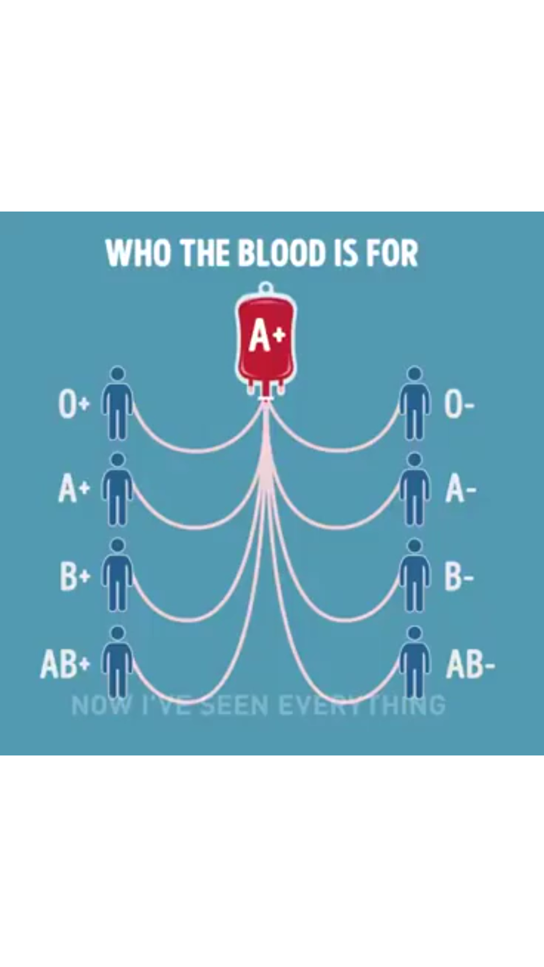 Here's a short video showing how each blood type matches with eachother. #bloodtypes #blooddonation 