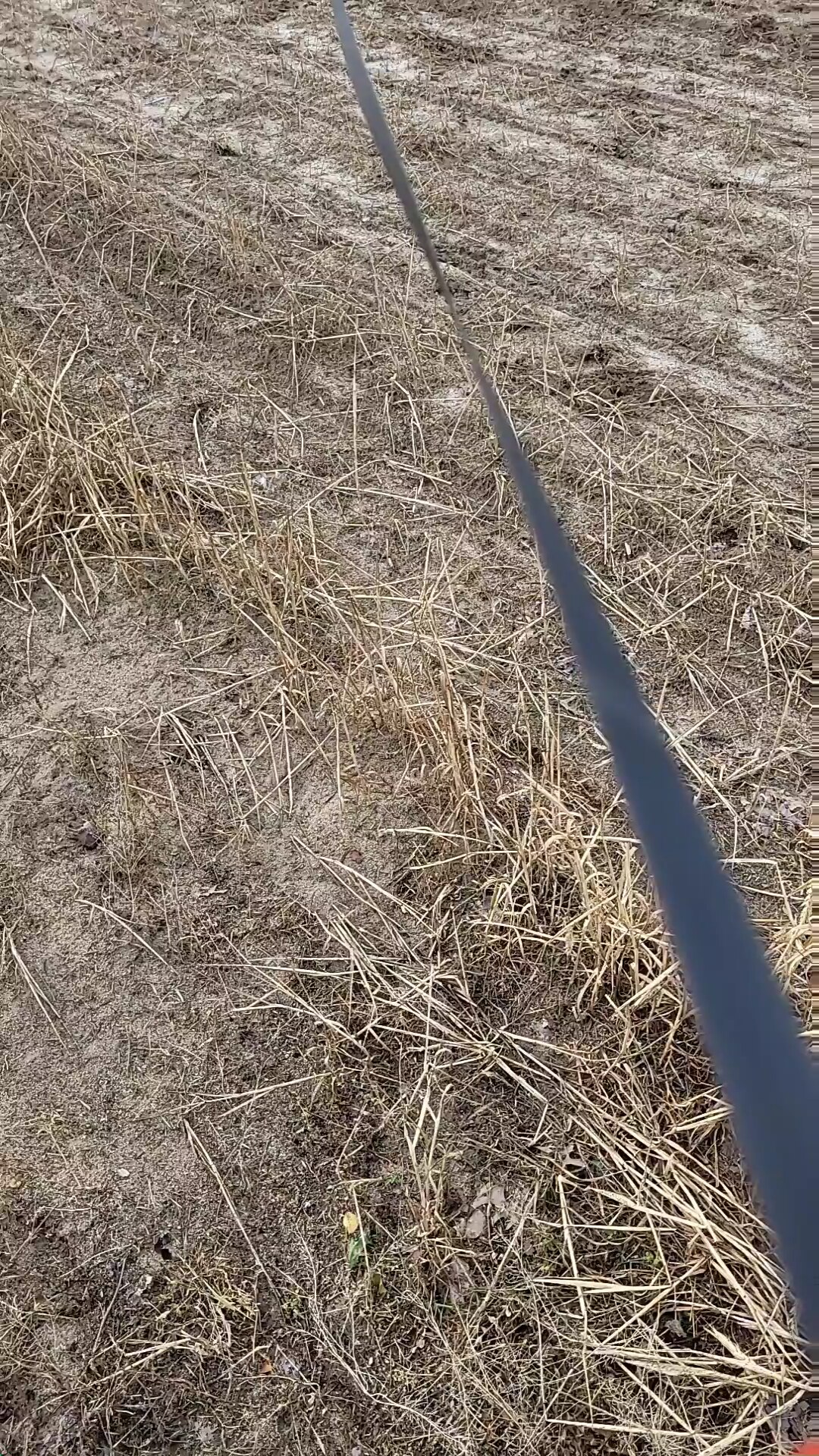 I'm liking this Getter Tok.