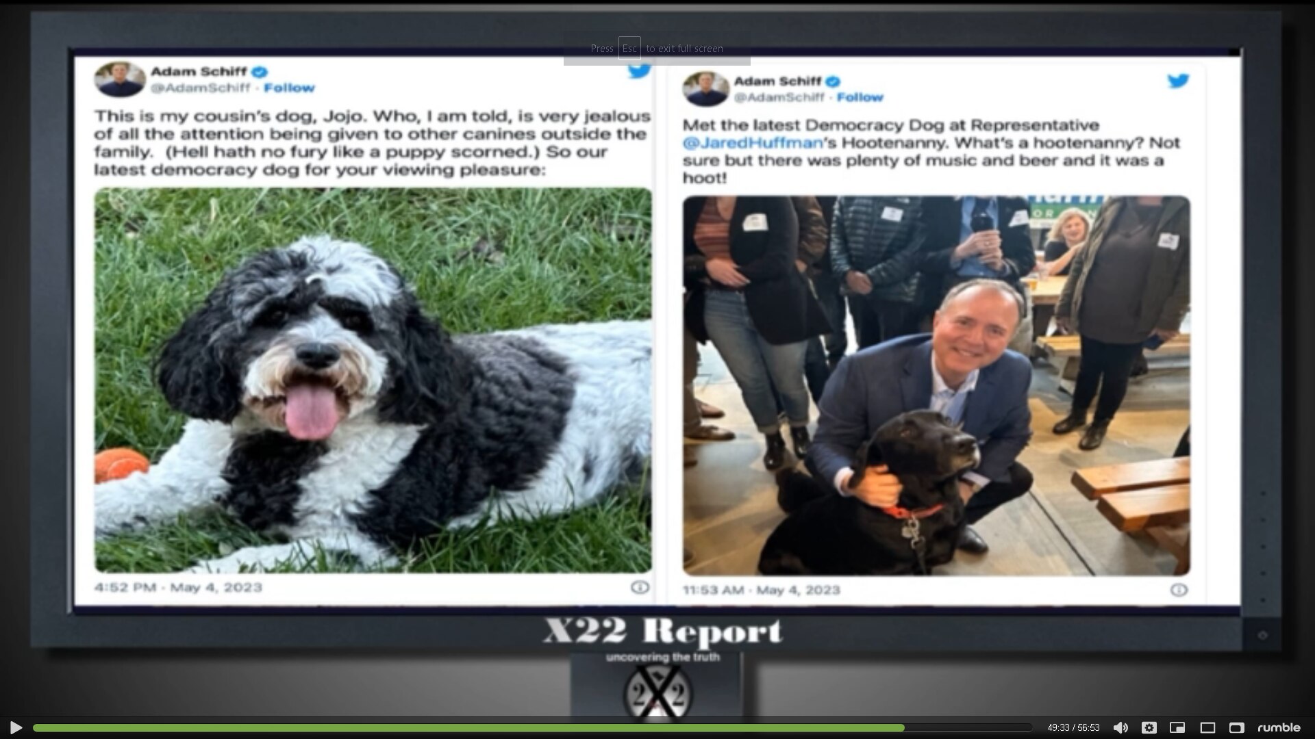 Ever notice all these profiles with ANIMAL pictures on social media and flowers numbers etc etc? Spi...