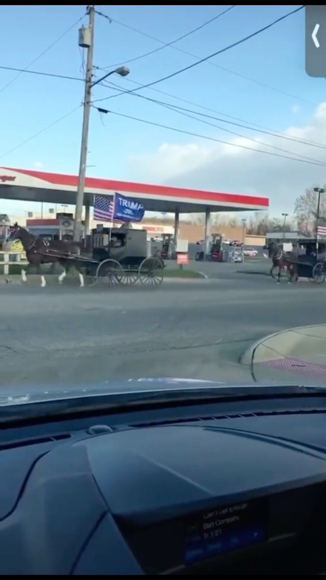 Never forget when the Amish people held their own rally for Trump 🇺🇸🇺🇸🇺🇸

#amishfortrump #trum...