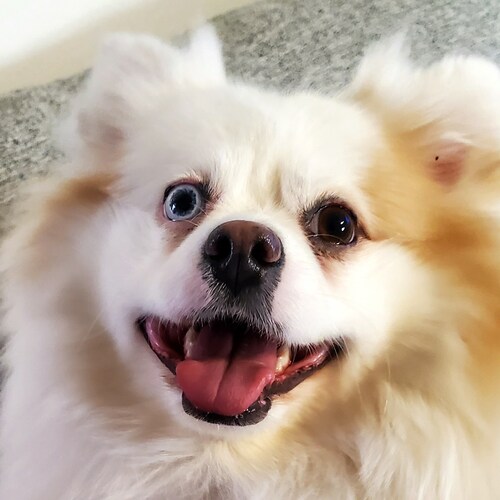 none of your business