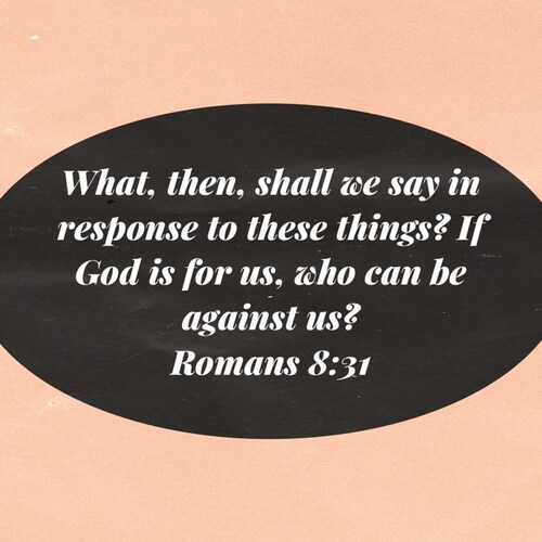 LoveGod✝️ My husband, My sweet KaciPooh #Jesus  #USA 🇱🇷 #WWG1WGA #BestPresidentEver45-47 #GodWinsAlways #PureBlood
