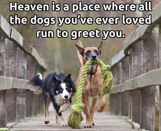 View CrabbedU🦀's post on GETTR. Join the discussion, share your thoughts, and connect with the community.